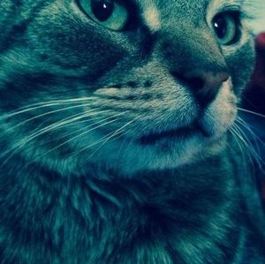 Meet your Posher, Sherry